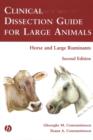 Image for Clinical dissection guide for large animals  : horse and large ruminants