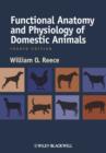 Image for Functional Anatomy and Physiology of Domestic     Animals, Fourth Edition