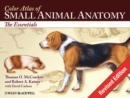 Image for Color atlas of small animal anatomy  : the essentials