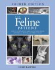 Image for Feline Patient 4E