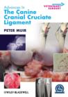 Image for Advances in the Canine Cranial Cruciate Ligament