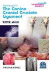 Image for Advances in the canine cranial cruciate ligament