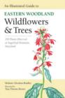 Image for An Illustrated Guide to Eastern Woodland Wildflowers and Trees