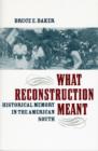 Image for What reconstruction meant  : historical memory in the American South