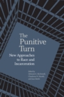 Image for The punitive turn: new approaches to race and incarceration