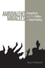 Image for Ambivalent Miracles