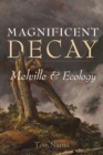 Image for Magnificent Decay