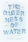Image for The queerness of water  : troubled ecologies in the eighteenth century
