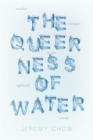 Image for The Queerness of Water: Troubled Ecologies in the Eighteenth Century