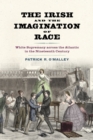 Image for The Irish and the Imagination of Race