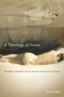 Image for A Theology of Sense