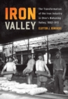 Image for Iron Valley: The Transformation of the Iron Industry in Ohio&#39;s Mahoning Valley, 1802?1913