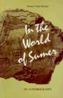 Image for In the World of Sumer