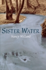 Image for Sister Water : A Novel