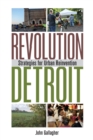 Image for Revolution Detroit