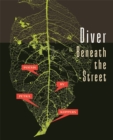 Image for Diver Beneath the Street