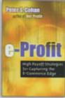Image for E-profit  : high payoff strategies for capturing the e-commerce edge