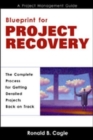 Image for Blueprint for project recovery  : a project management guide