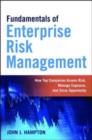 Image for Fundamentals of enterprise risk management
