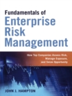 Image for Fundamentals of enterprise risk management: how top companies assess risk, manage exposures, and seize opportunities