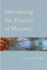 Image for Introducing the Practice of Ministry