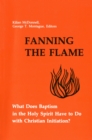 Image for Fanning the Flame : What Does Baptism in the Holy Spirit Have to Do with Christian Initiation?