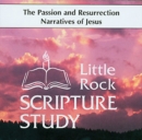 Image for The Passion And Resurrection Narratives Of Jesus