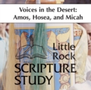 Image for Voices in the Desert : 10 Sessions