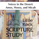 Image for Voices in the Desert