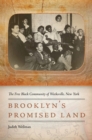 Image for Brooklyn&#39;s promised land: the free black community of Weeksville, New York