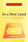 Image for In a new land: a comparative view of immigration