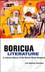 Image for Boricua Literature