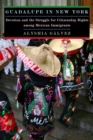 Image for Guadalupe in New York: devotion and the struggle for citizenship rights among Mexican immigrants