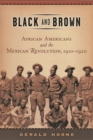 Image for Black and brown  : African Americans and the Mexican Revolution, 1910-1920