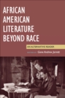 Image for African American Literature Beyond Race: An Alternative Reader