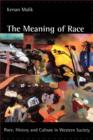Image for The Meaning of Race : Race, History, and Culture in Western Society
