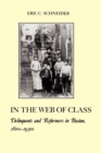Image for In the Web of Class : Delinquents and Reformers in Boston, 1810s-1930s