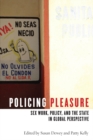Image for Policing pleasure: sex work, policy, and the state in global perspective