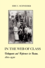 Image for In the Web of Class: Delinquents and Reformers in Boston, 1810s-1930s : 10