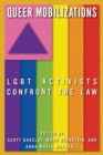 Image for Queer mobilizations  : LGBT activists confront the law