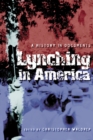 Image for Lynching in America : A History in Documents