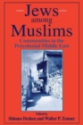Image for Jews among Muslims  : communities in the precolonial Middle East