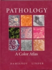 Image for Anderson&#39;s color atlas of pathology