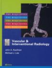 Image for Vascular and Interventional Radiology