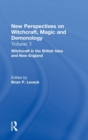 Image for New perspectives on witchcraft, magic, and demonologyVol. 4: Gender and witchcraft