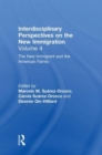 Image for The New Immigrant and the American Family : Interdisciplinary Perspectives on the New Immigration