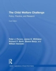 Image for The child welfare challenge  : policy, practice, and research