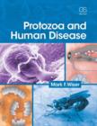 Image for Protozoa and Human Disease