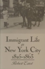 Image for Immigrant Life in New York City, 1825-1863