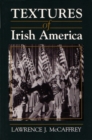 Image for Textures of Irish America
